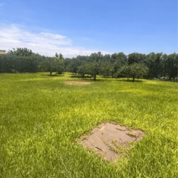 PcEE4jCBFvjVcc9kWRNnmbud