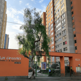 arD60ED4QArh4qYAS5rutcOT