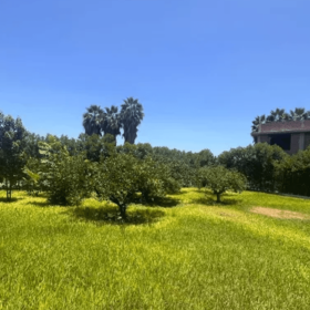 nIIrkbqqZTaezKdQfKtKU10o